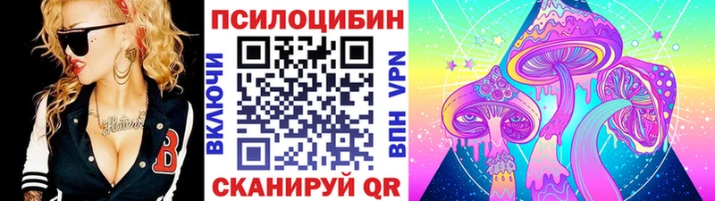 что такое   блэк спрут ссылка  Галлюциногенные грибы Psilocybe  Мыски 